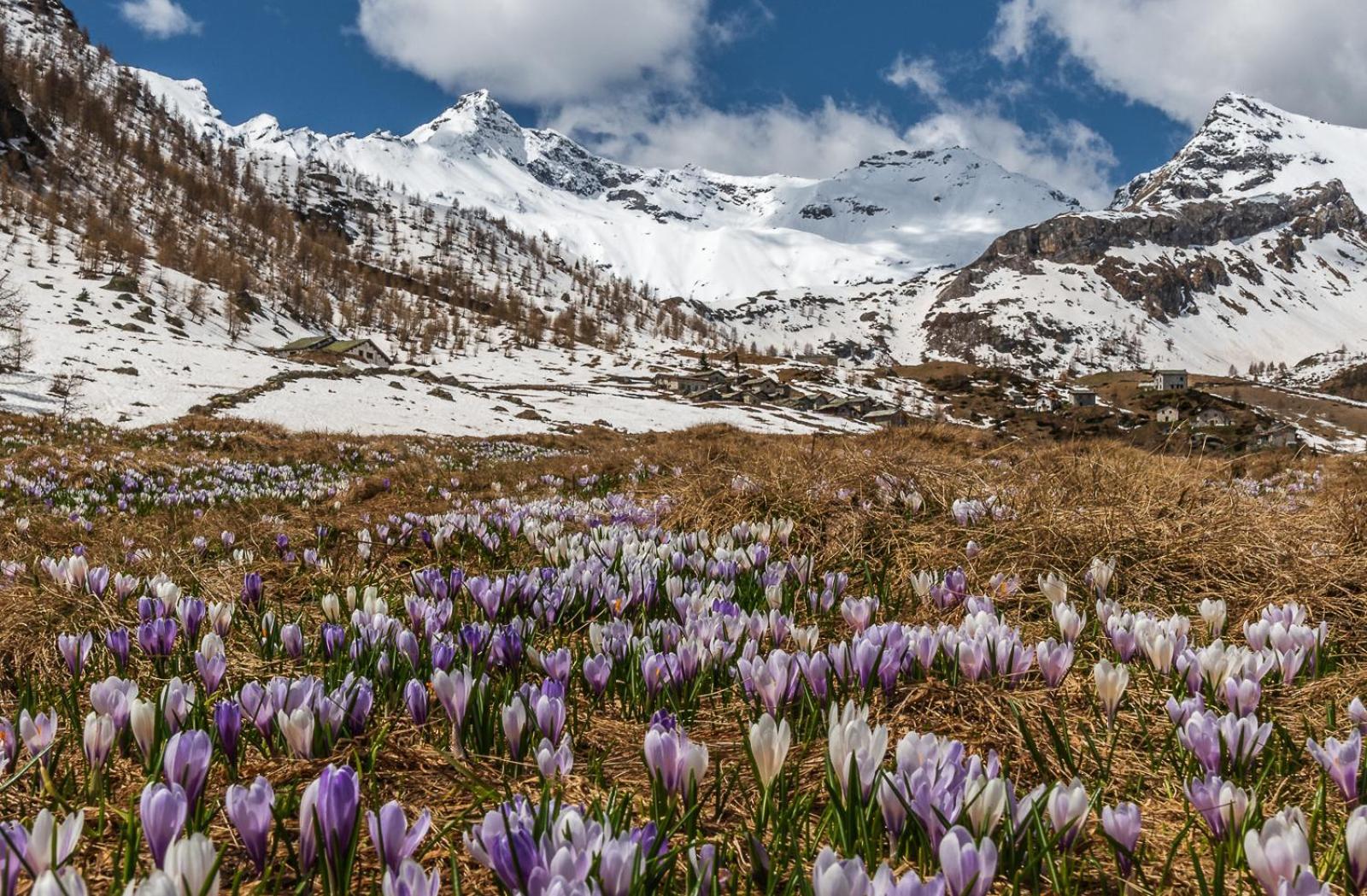Ferienwohnung San Giuan, Ad Un Passo Dal Centro Chiavenna Exterior foto